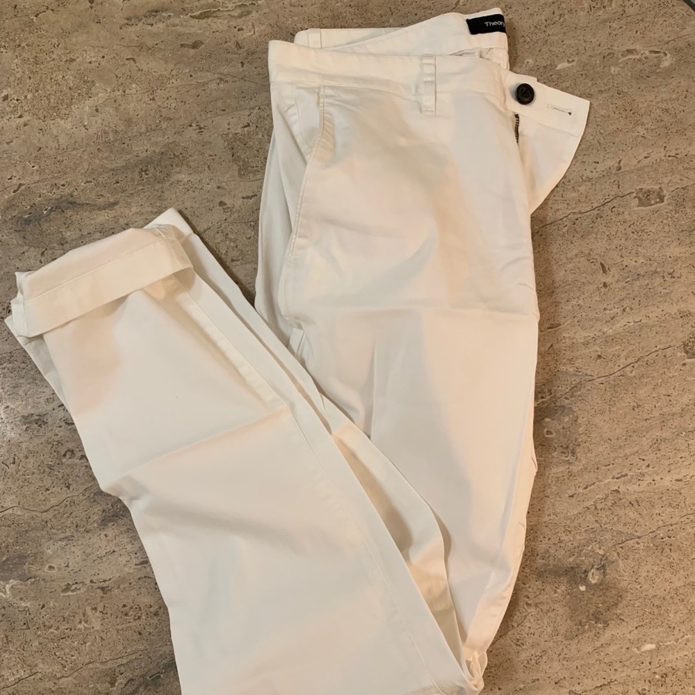 White Men’s Theory 31/34 pants